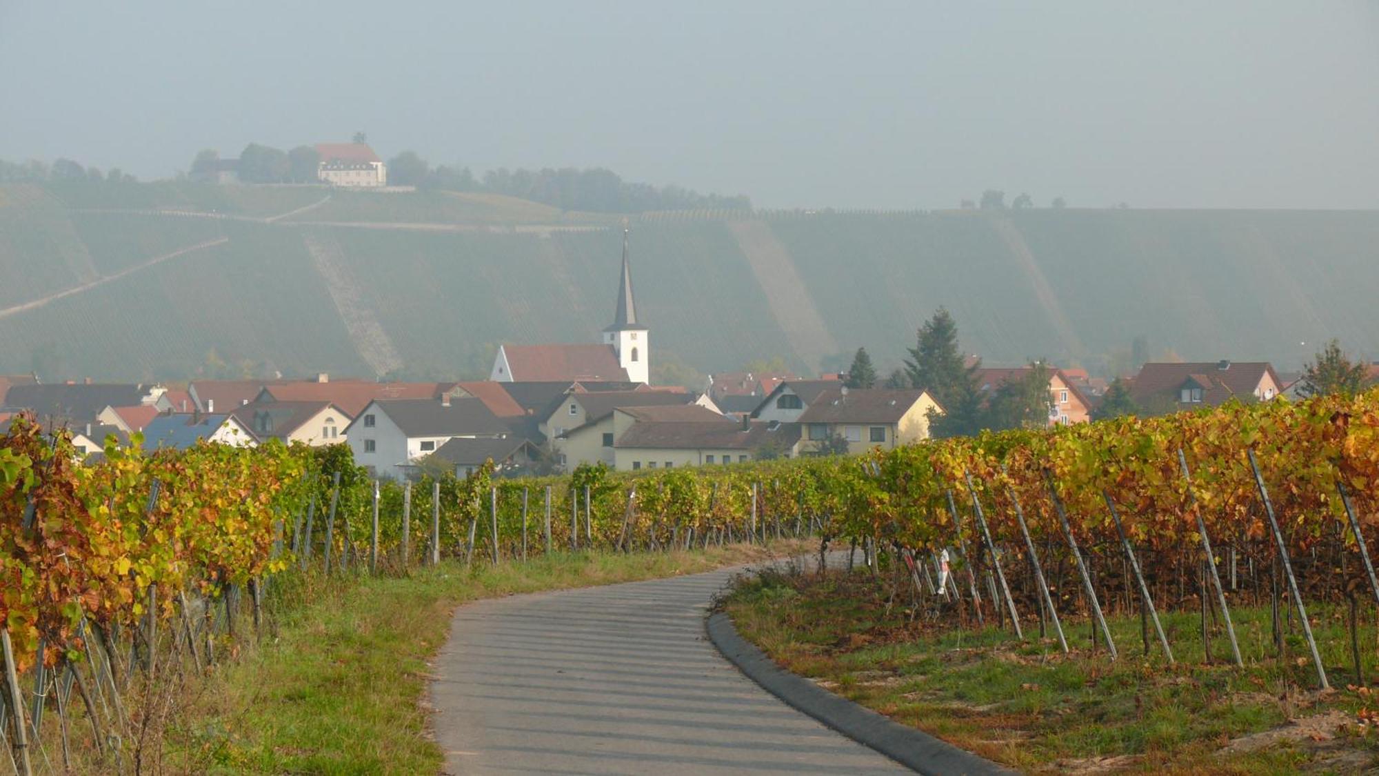 Weingut Herbert Kram Nordheim am Main Bagian luar foto