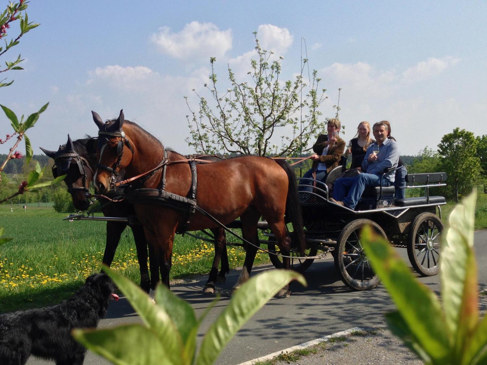 Weingut Herbert Kram Nordheim am Main Bagian luar foto