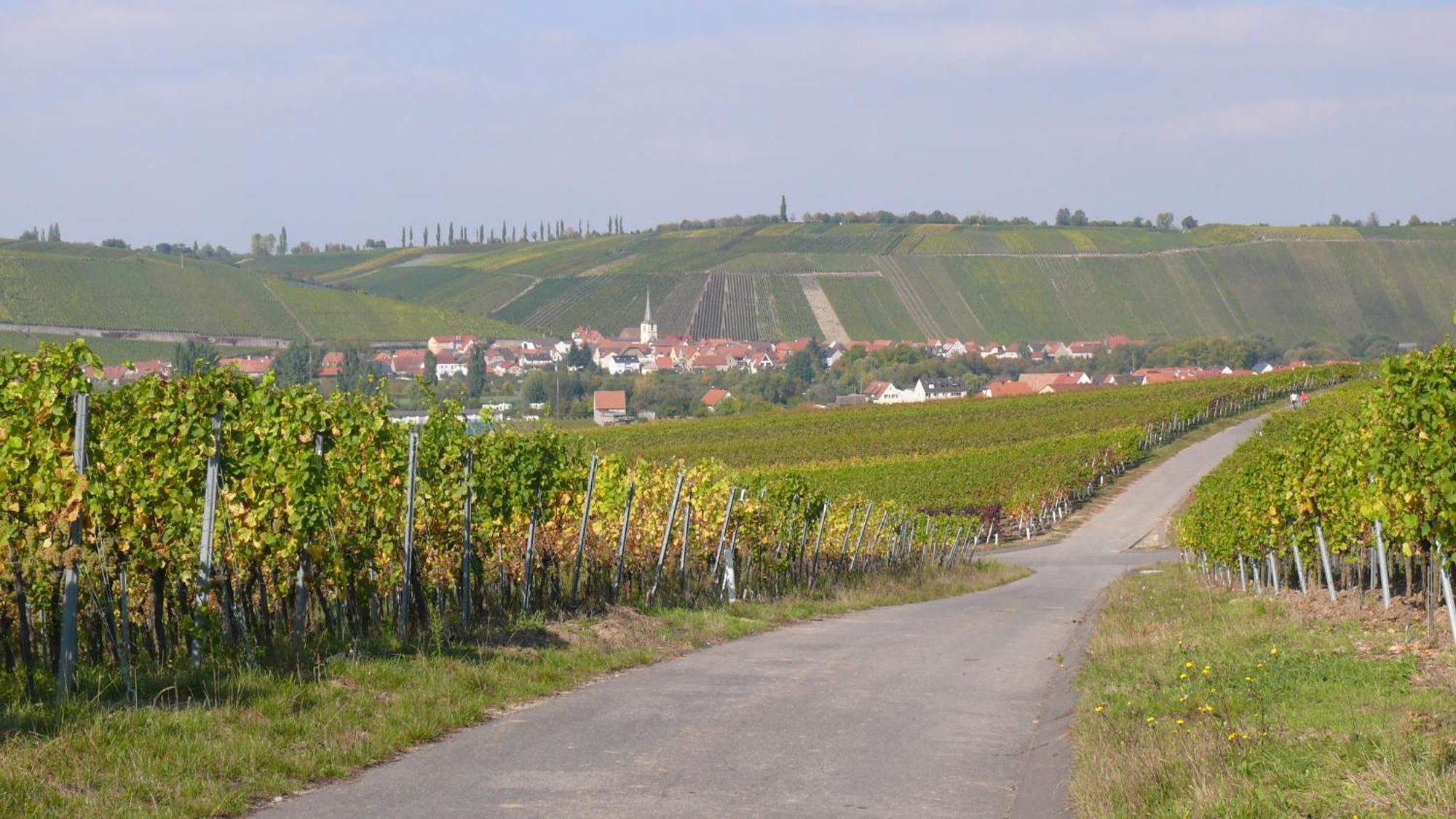 Weingut Herbert Kram Nordheim am Main Bagian luar foto
