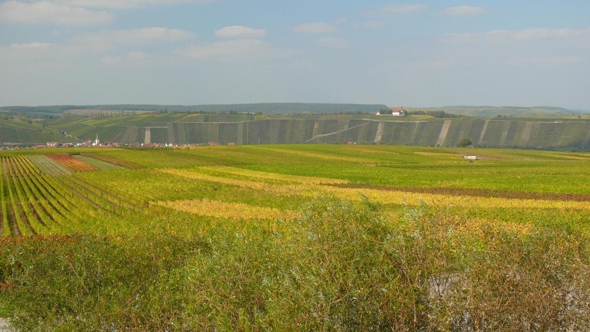 Weingut Herbert Kram Nordheim am Main Bagian luar foto